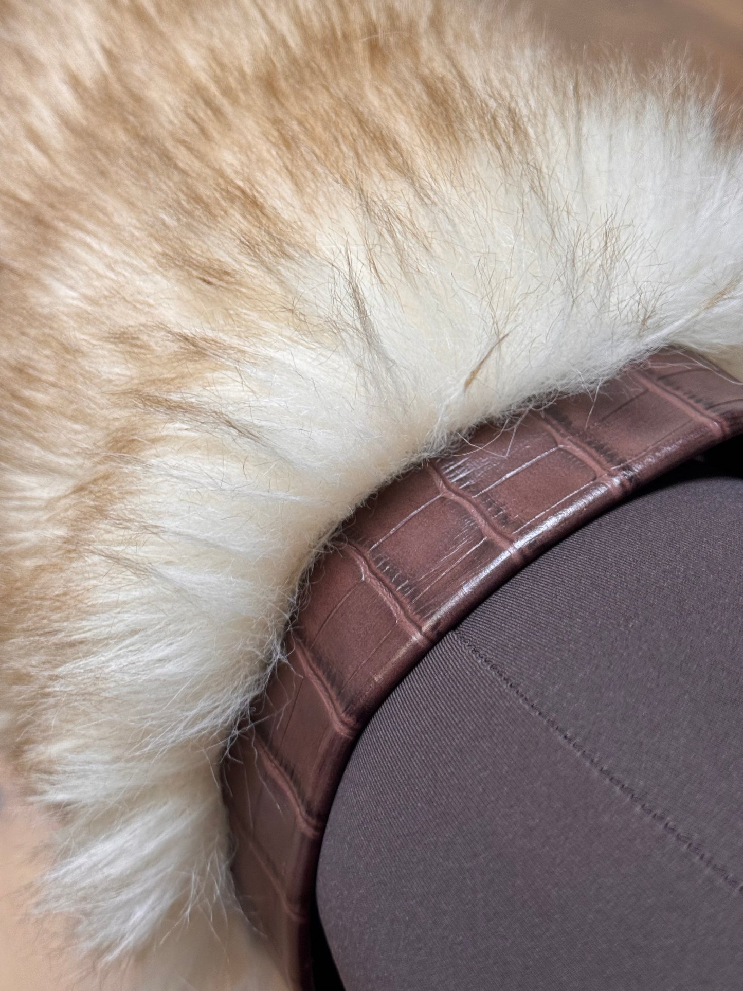 Joia Paris. Daffy brown -30%