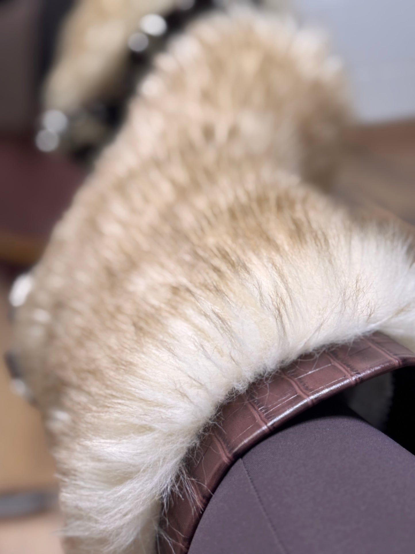 Joia Paris. Daffy brown -30%